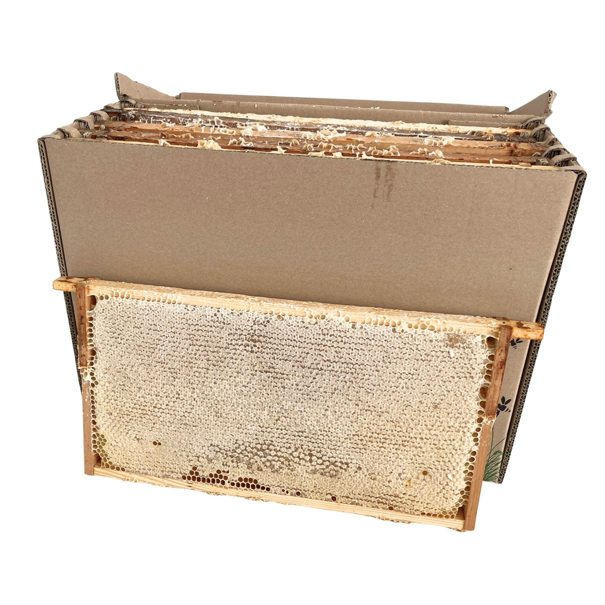 BIENEN SCHMIDT Honig Wabenhonig á 200 g abgepackt in praktischer Verschlussschale, aus unserer Sommerernte – Bild 5 von 5