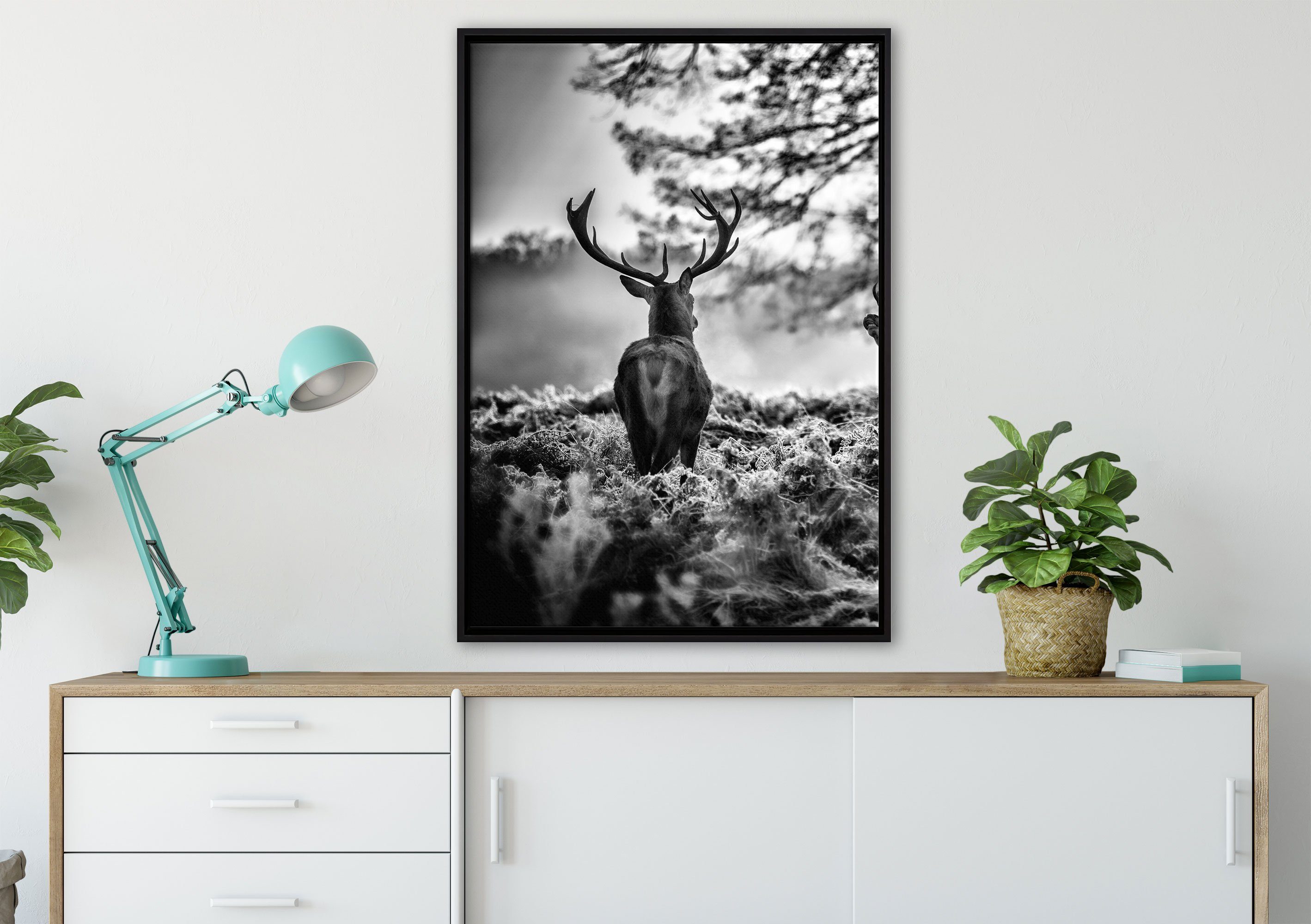 Wanddekoration kämpfen, fertig einem Hirsch Zackenaufhänger inkl. (1 in Leinwandbild bespannt, Rivalen Pixxprint gefasst, Schattenfugen-Bilderrahmen Leinwandbild St),