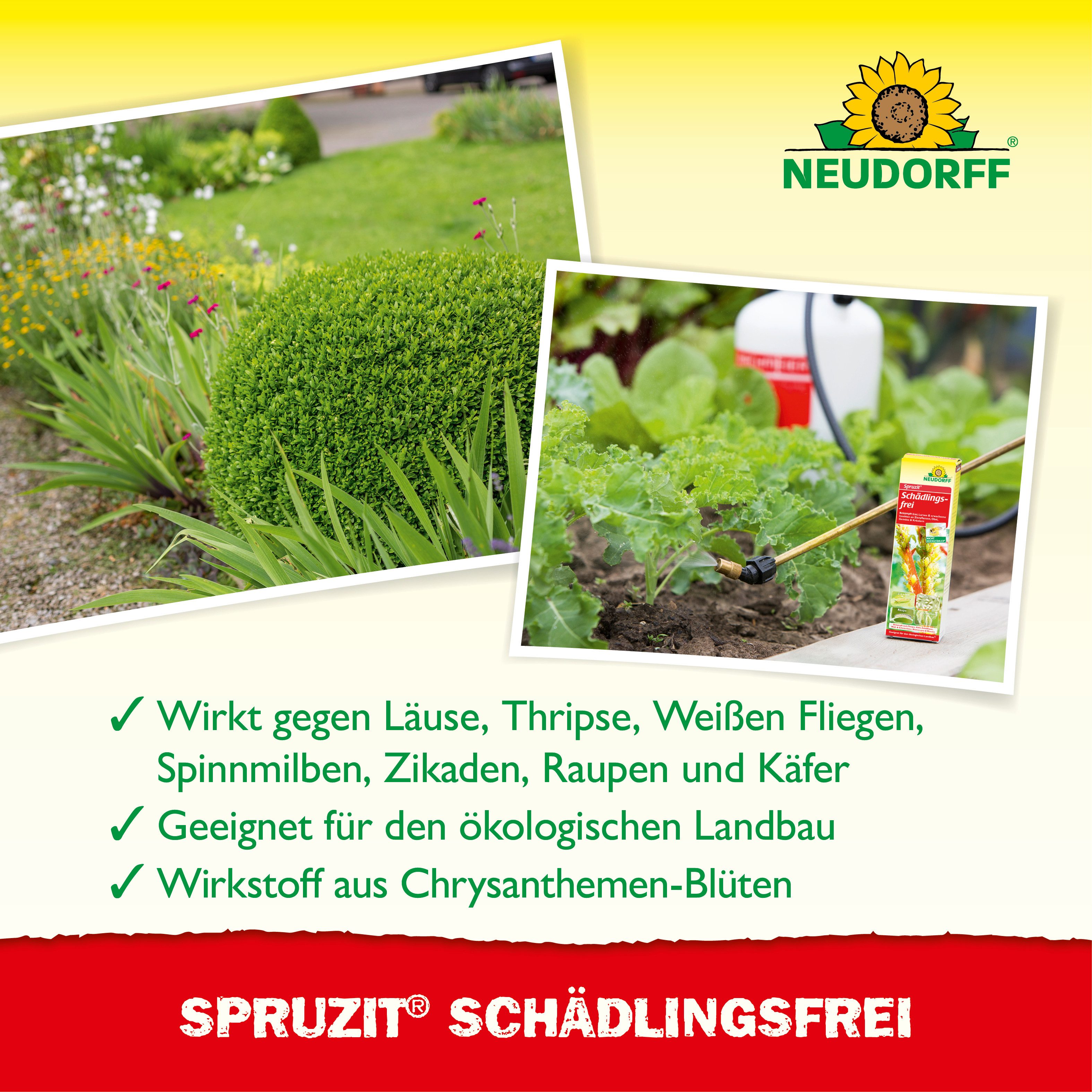 Neudorff Insektenspray Spruzit Schädlingsfrei 250 ml Konzentrat, 250 ml, Für Zierpflanzen, Gemüse & Kirschen in Haus und Garten, Konzentrat gegen zahlreiche Sch – Bild 4 von 5