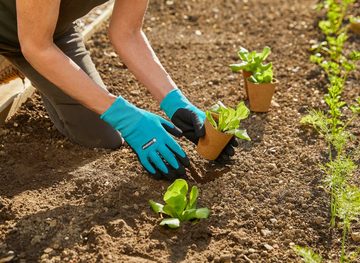 GARDENA Gartenhandschuhe 11512-20 Pflanz- und Bodenhandschuhe, Größe: L