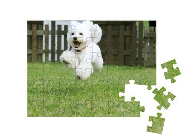 puzzleYOU Puzzle Weißer Zwergpudel beim Spielen im Garten, 48 Puzzleteile, puzzleYOU-Kollektionen Hunde, Pudel