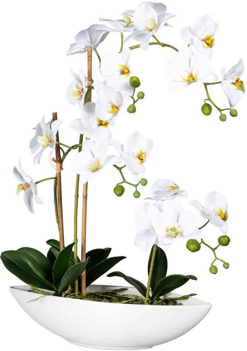 Kunstorchidee »Phalaenopsis« Orchidee Phalaenopsis, Creativ green, Höhe 60 cm, im Keramikschiff
