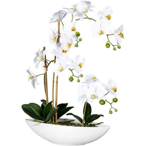 Kunstorchidee Phalaenopsis Orchidee Phalaenopsis, Creativ green, Höhe 60 cm, im Keramikschiff