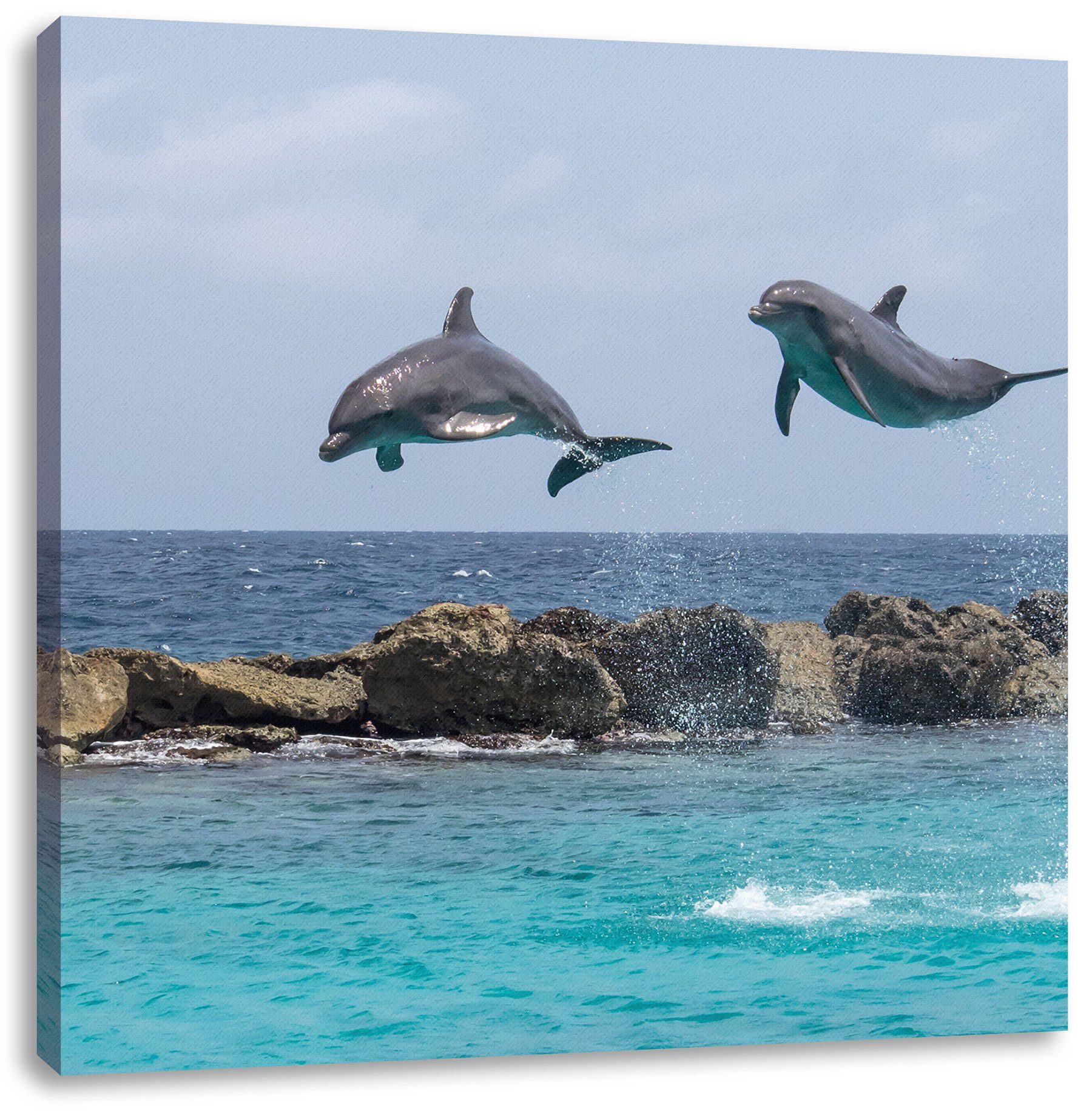 Pixxprint Leinwandbild springende Delphine, springende bespannt, Zackenaufhänger Delphine inkl. Leinwandbild fertig St), (1