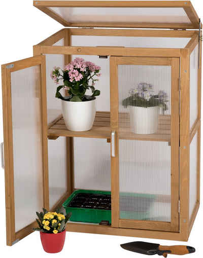 needs&wants® Gewächshaus Mini Treibhaus klein winterfest aus Holz, Balkon Garten Zimmer Indoor, Frühbeet Hochbeet Anzucht Aufzucht Pflanzen Pflanzschrank Anzuchthaus