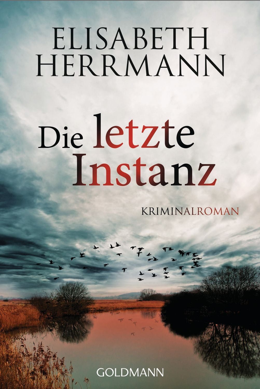Die letzte Instanz / Elisabeth Herrmann