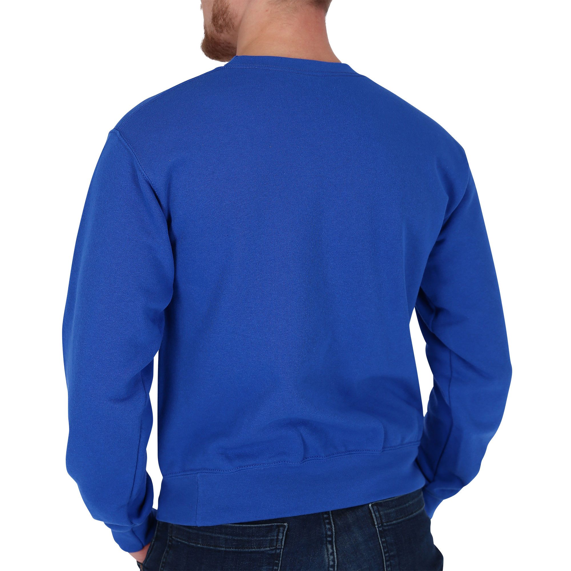 Fruit of the Loom Sweatshirt Fruit of the Loom Fruit of the Loom Sweatshirt mit Vintage-Logo