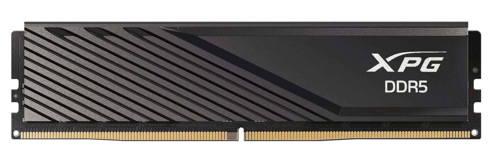 ADATA DIMM 32 GB DDR5-6000 (2x 16 GB) Dual-Kit, Arbeitsspeicher PC-Arbeitsspeicher
