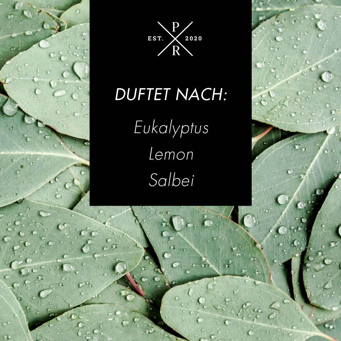 Purple River Duftkerze Reed Diffuser Eucalyptus günstig online kaufen