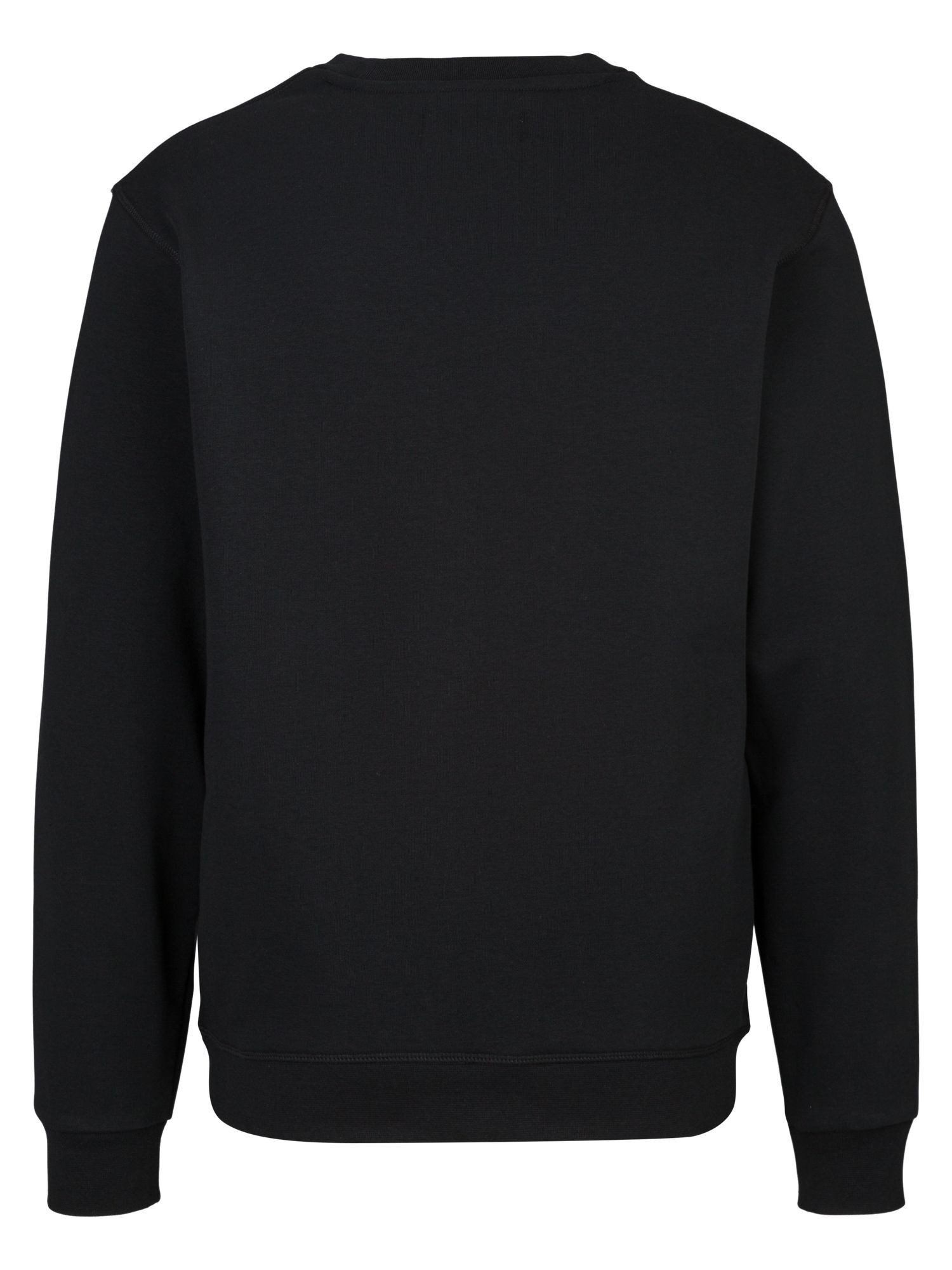 Replay Sweatshirt FRENCH TERRY COTTON-POLY günstig online kaufen