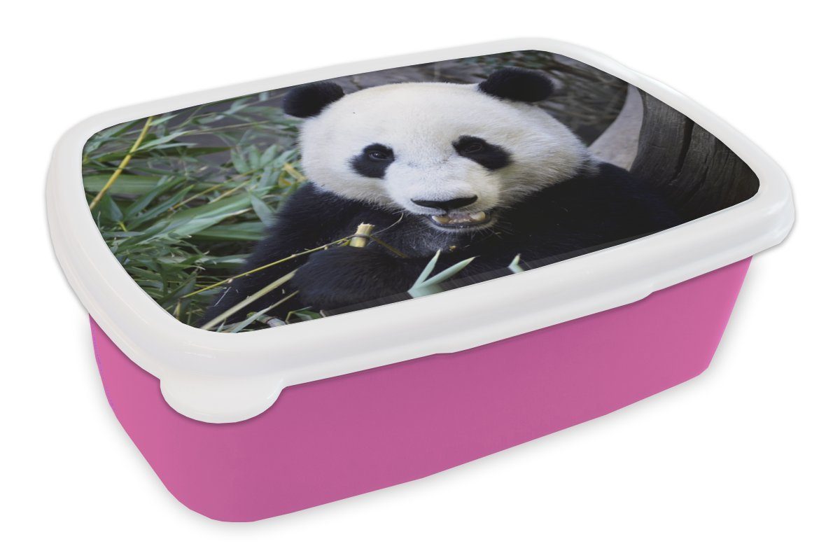 MuchoWow Lunchbox Panda - Tier - Blätter, Kunststoff, (2-tlg), Brotbox für Erwachsene, Brotdose Kinder, Snackbox, Mädchen, Kunststoff rosa