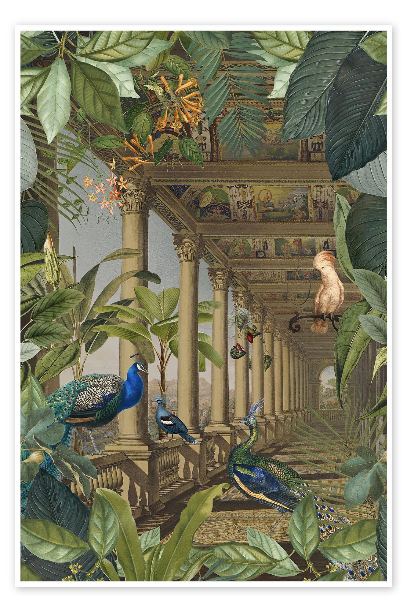 Posterlounge Poster Andrea Haase, Verlorener Dschungel mit Pfauen, Illustration