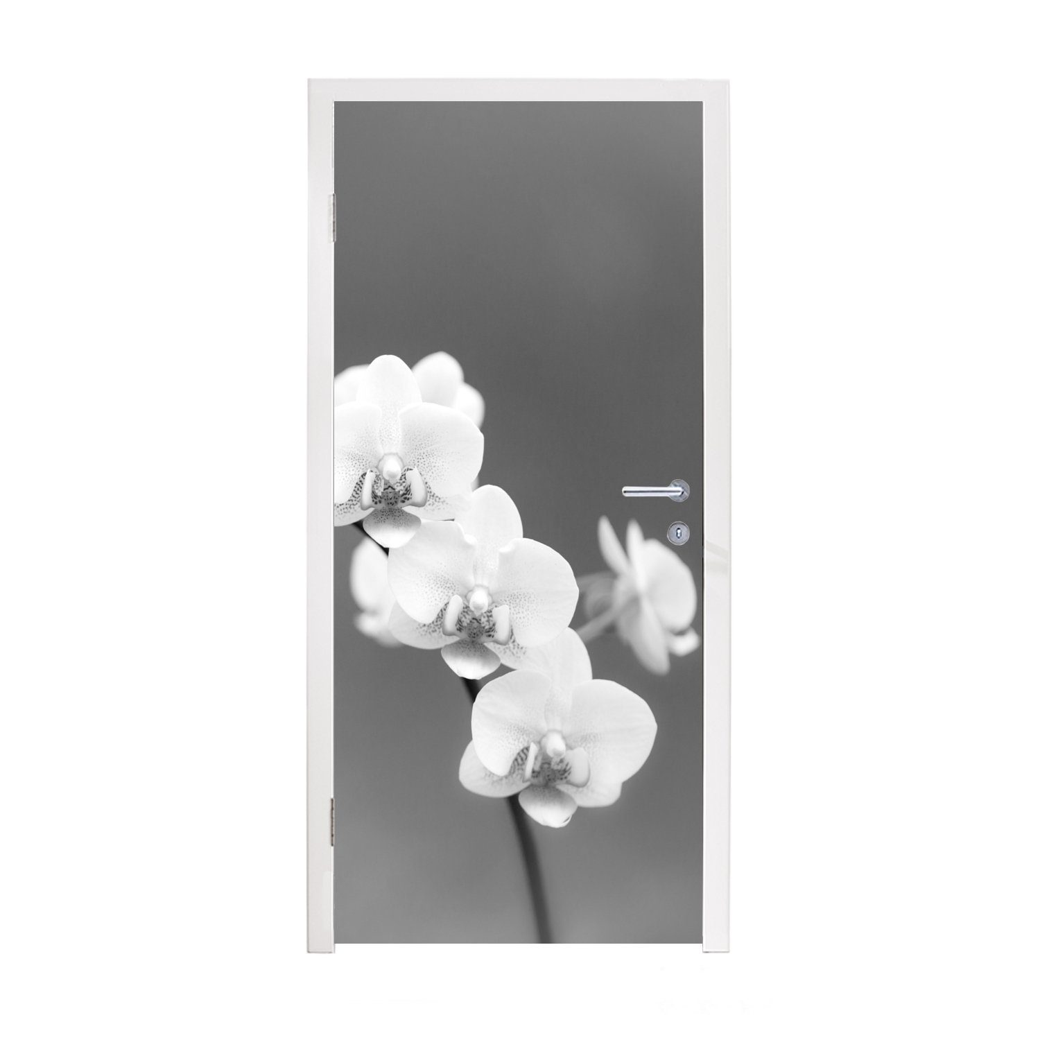 MuchoWow Türtapete Orchidee - Blumen - Pflanze - Weiß - Lila, Matt, bedruckt, (1 St), Fototapete für Tür, Türaufkleber, 75x205 cm