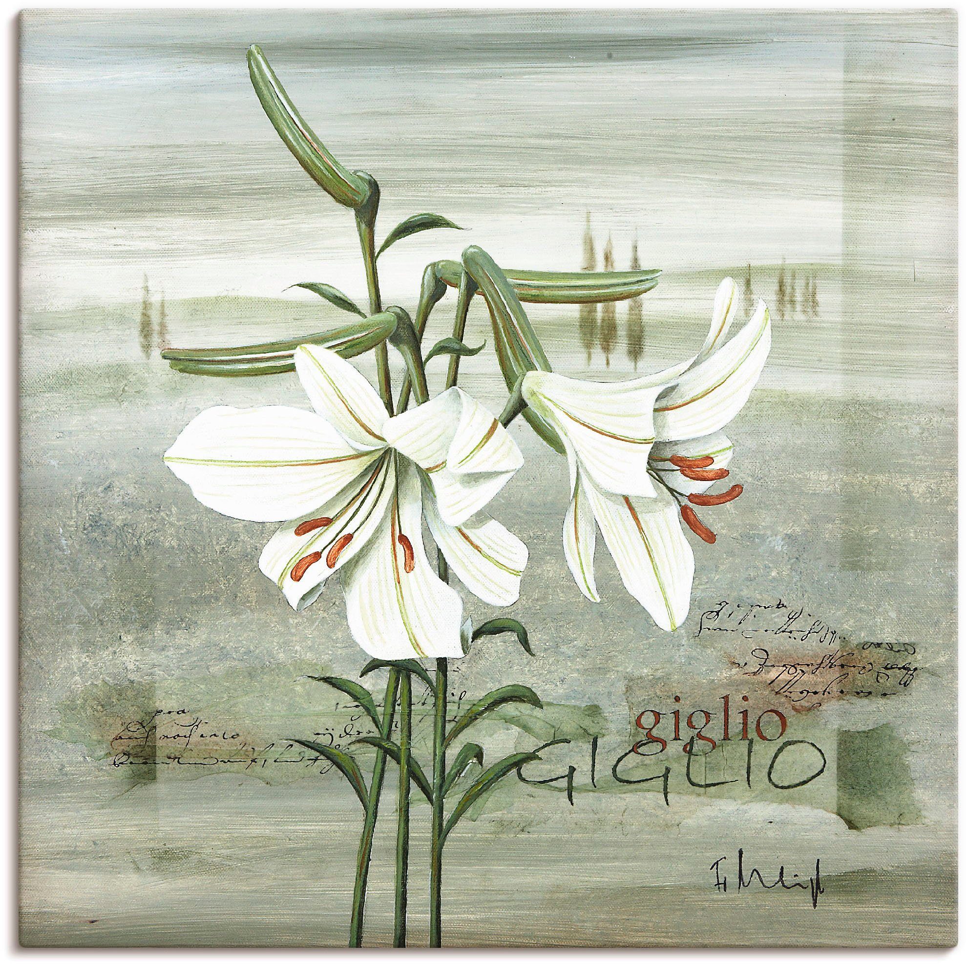 Leinwandbild, Poster als versch. Wandbild oder Artland St), in (1 Wandaufkleber Lilie, Größen Blumen