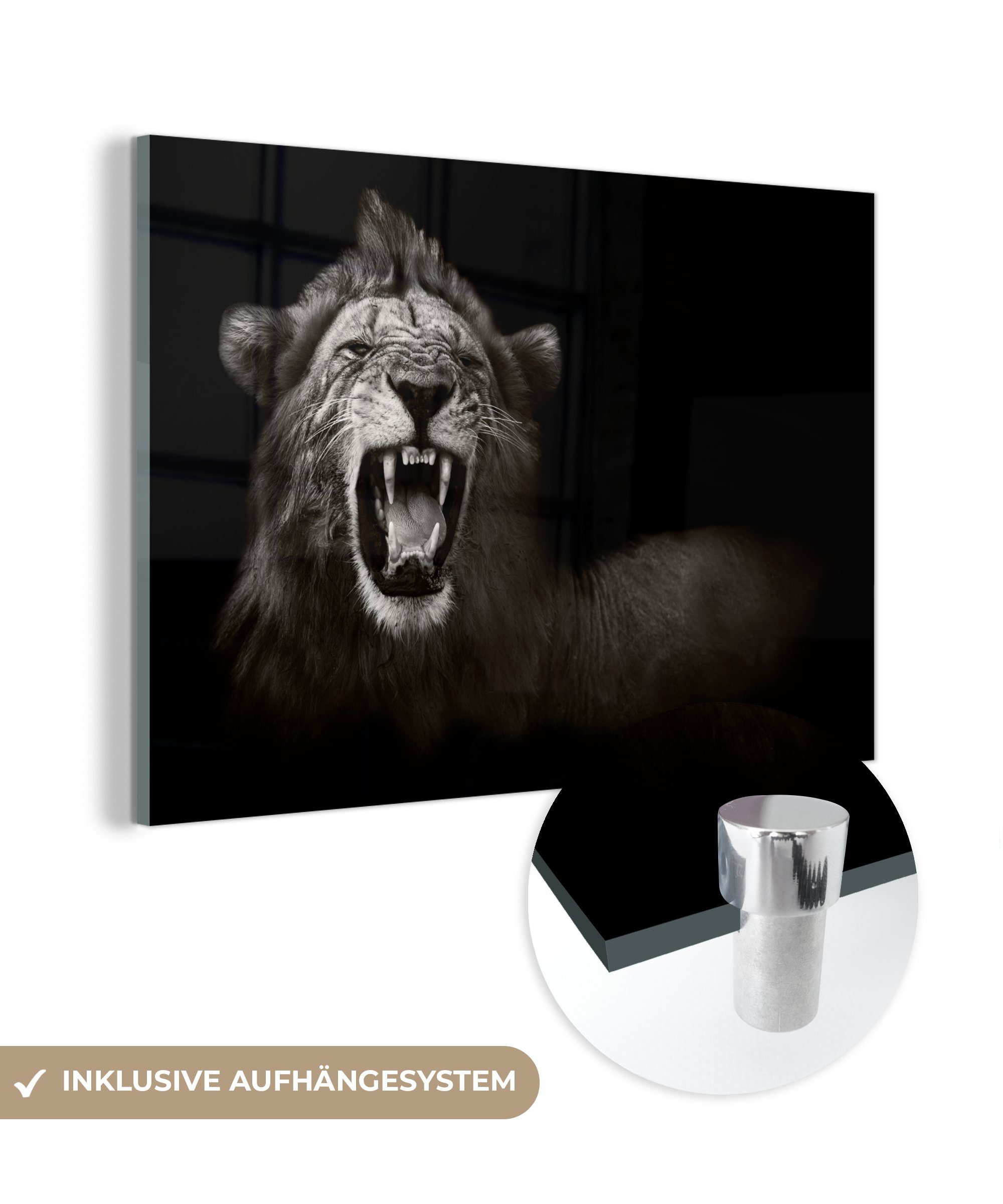MuchoWow Acrylglasbild Löwe - Wild (1 Wanddekoration St), Bilder Glasbilder auf - Weiß, Schwarz - - Glas auf Wandbild Foto Glas - 