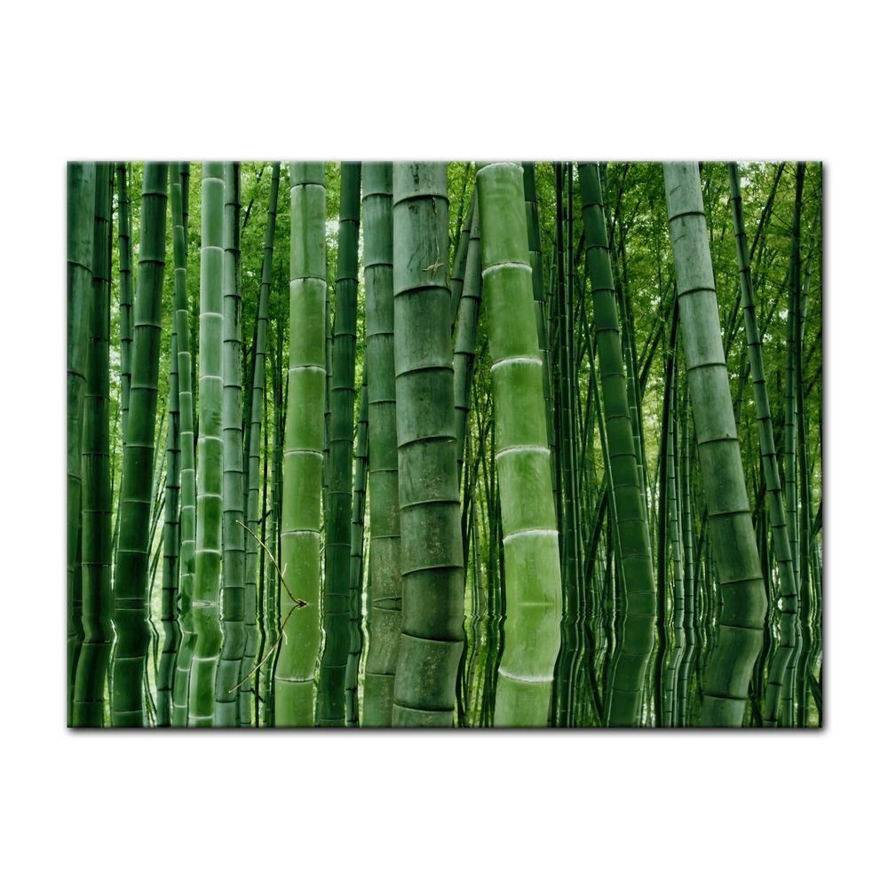 Bilderdepot24 Leinwandbild Bambuswald in Sichuan China, Pflanzen