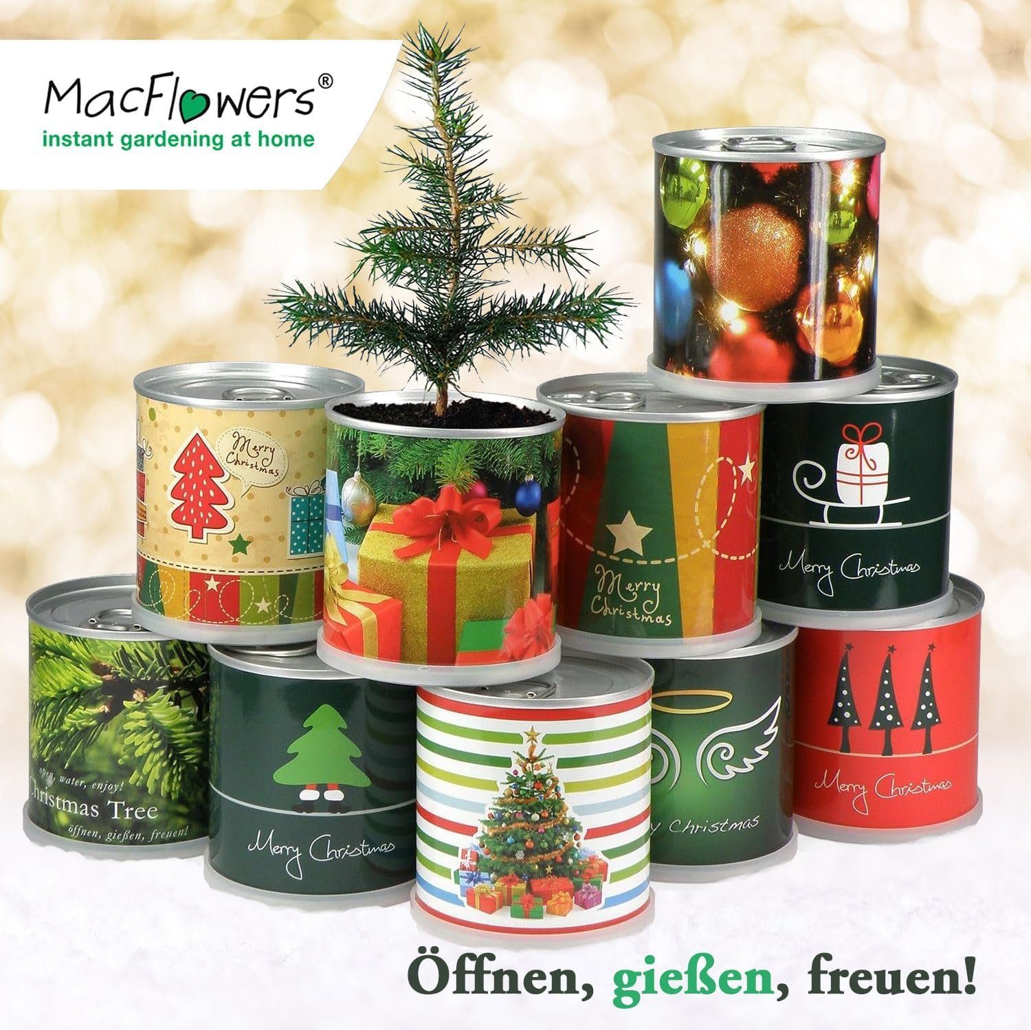 Geschenk MacFlowers® in Engelsflügel zu der - Dose- Weihnachten Anzuchttopf Weihnachtsbaum