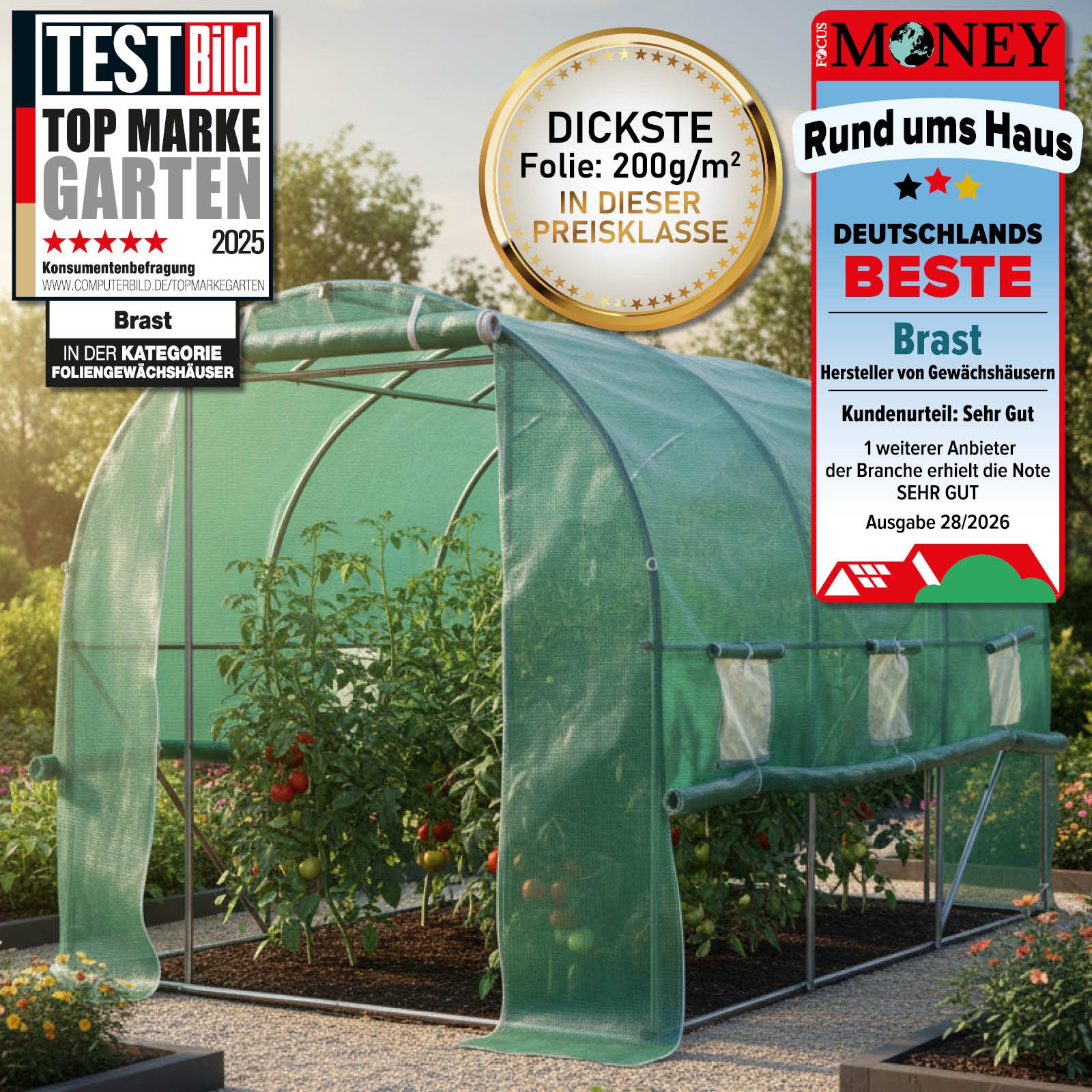 BRAST Foliengewächshaus Gewächshaus inkl. Stahlfundament Erdanker & Unkrautvlies, 4 Größen, BxTxH: 200 x 300 x 200 cm, 6 Fenster inkl. aufrollbare Seitenwände m – Bild 2 von 5