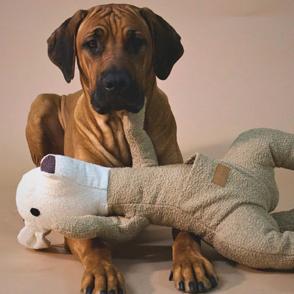 PAIKKA Tierkuscheltier Hundespielzeug Känguru günstig online kaufen