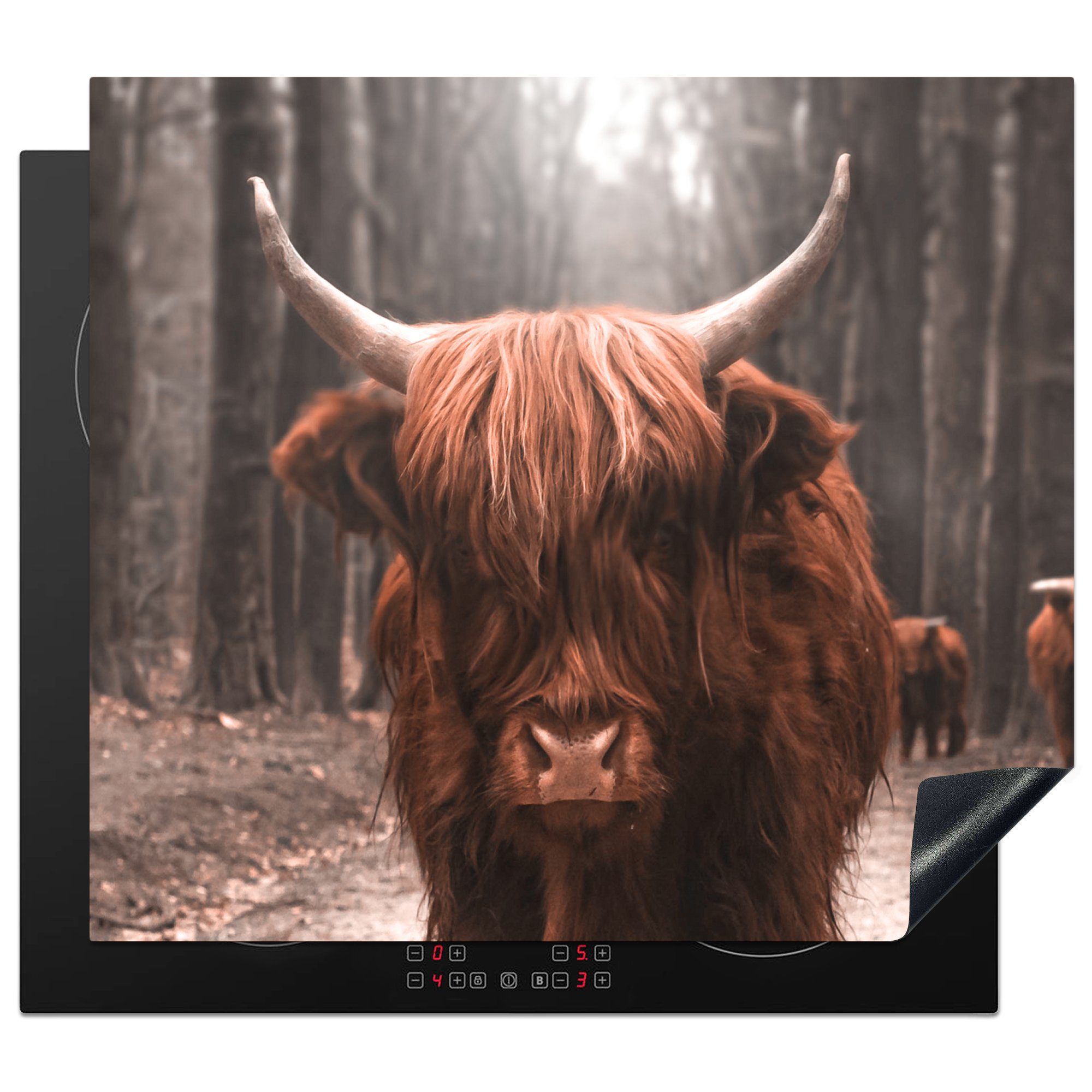 MuchoWow Herdblende-/Abdeckplatte Schottischer Highlander - Tier - Nahaufnahme, Vinyl, (1 tlg), 59x52 cm, Ceranfeldabdeckung für die küche, Induktionsmatte