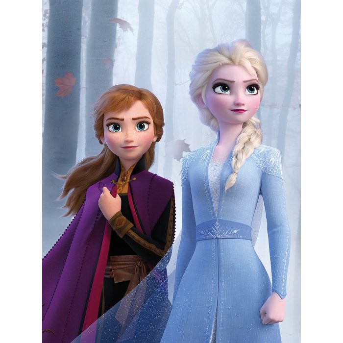 Komar Poster Frozen Sisters in the Wood Disney