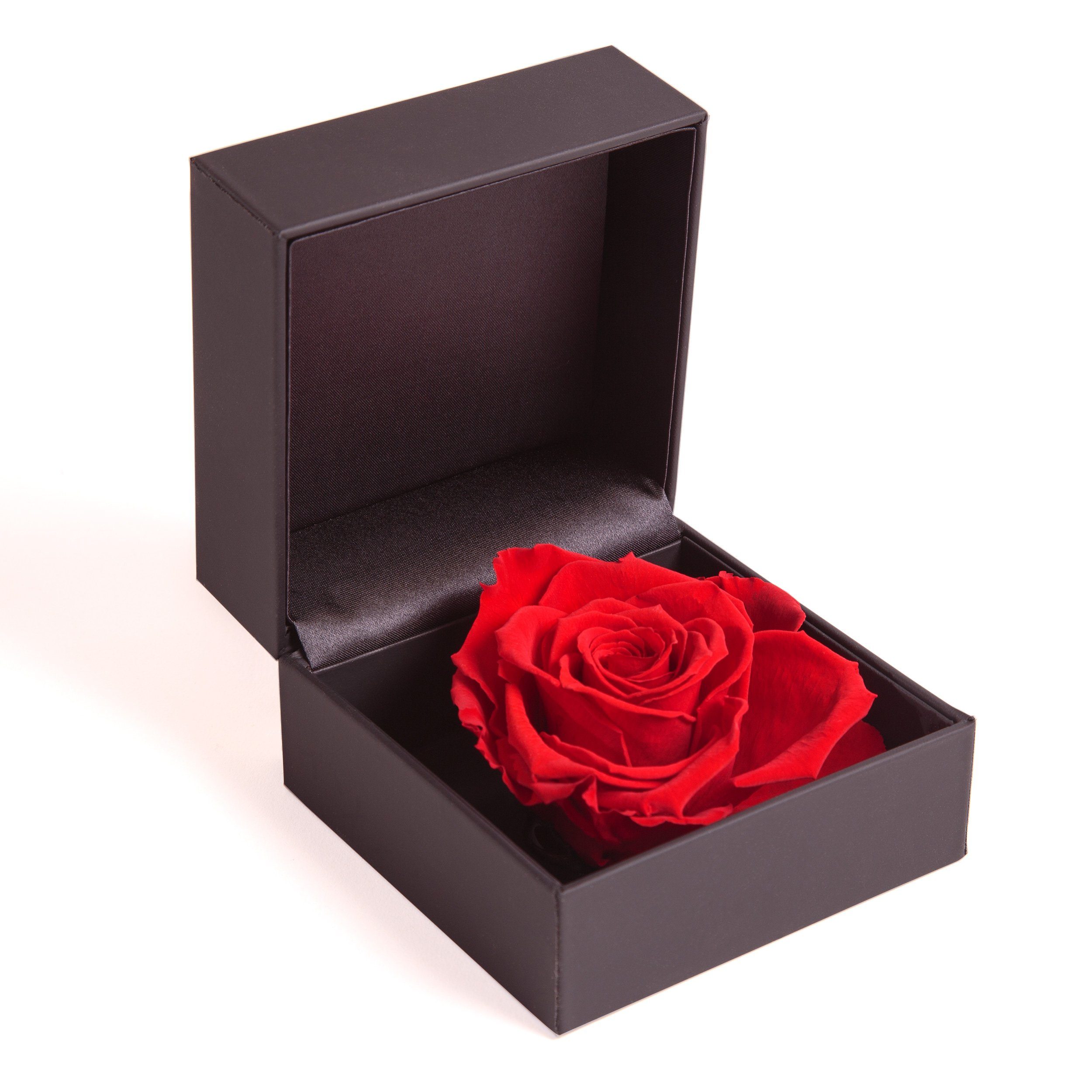 Kunstblume Rosenbox Ringbox Groß Infinity Rose konserviert in Box Ringdose Rose, ROSEMARIE SCHULZ Heidelberg, Höhe 9 cm, Langlebige Rose Rot