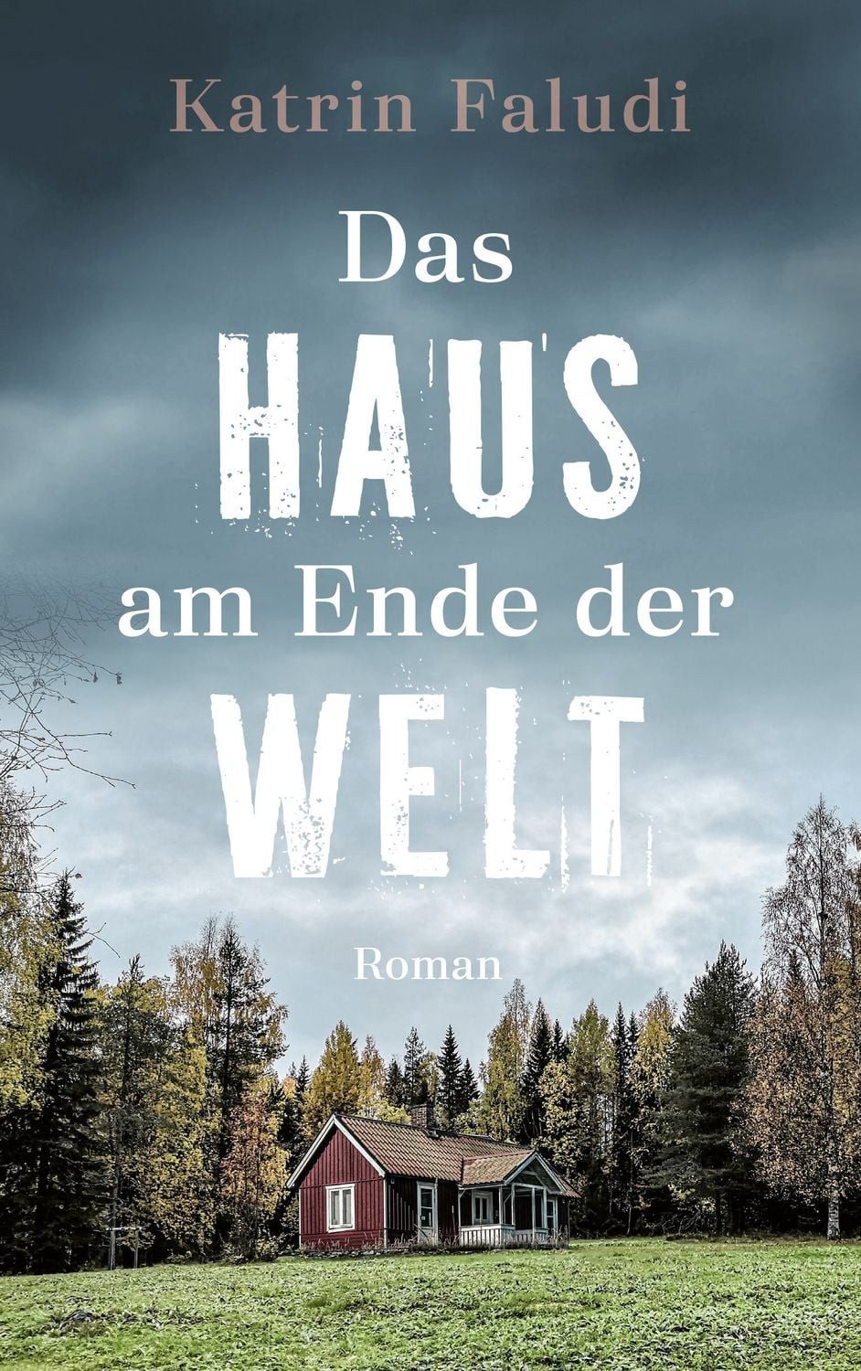 Jugendbuch Das Haus am Ende der Welt Roman Katrin Faludi