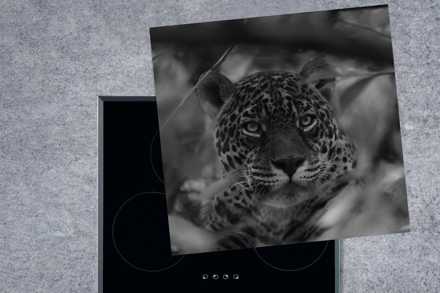 cm, Jaguar Ceranfeldabdeckung, tlg), Weiß, Bolivien Vinyl, 78x78 Schwarz - Herdblende-/Abdeckplatte - MuchoWow Arbeitsplatte (1 - für küche