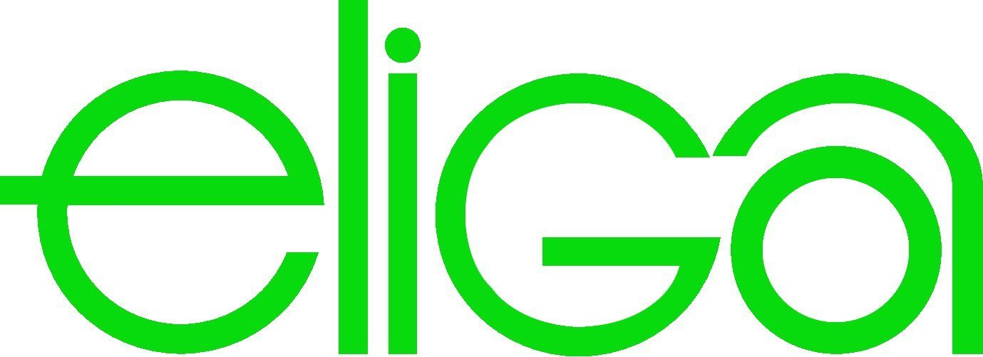 Elsässer GmbH