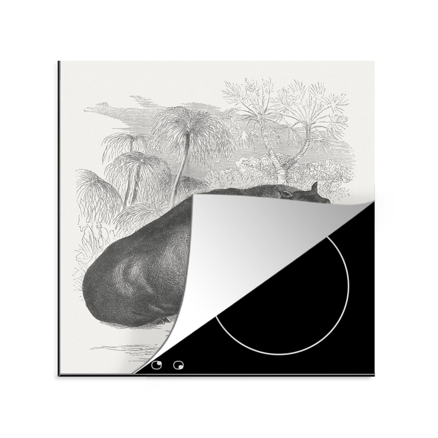 cm, 78x78 Herdblende-/Abdeckplatte am für eines Wasser, küche MuchoWow (1 Vinyl, tlg), Arbeitsplatte Ceranfeldabdeckung, Nilpferdes Illustration