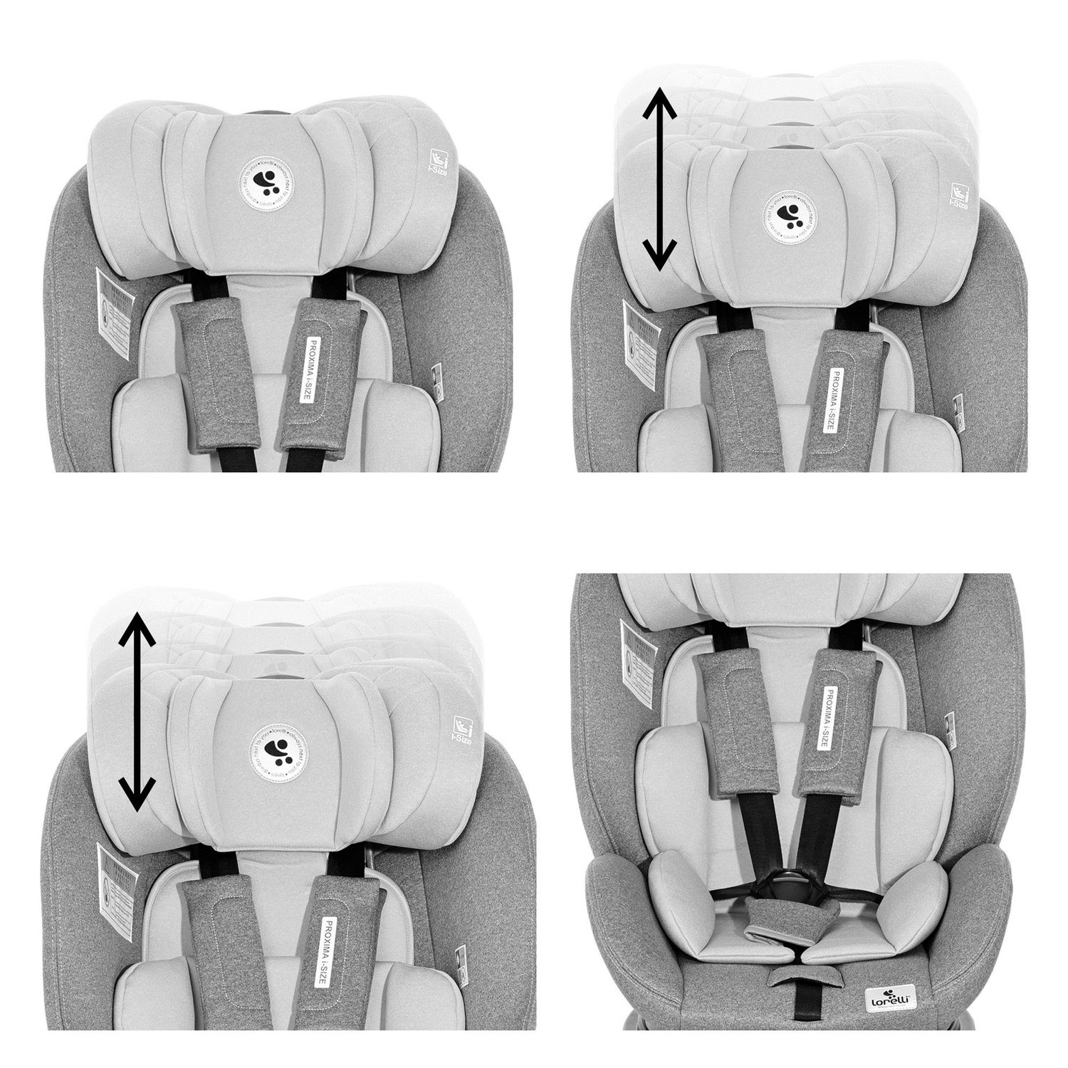 Lorelli Autokindersitz Kindersitz 25 Proxima kg, Isofix i-Size, Gruppe kg) 25 (0 bis: - 0/1/2 grau verstellbar