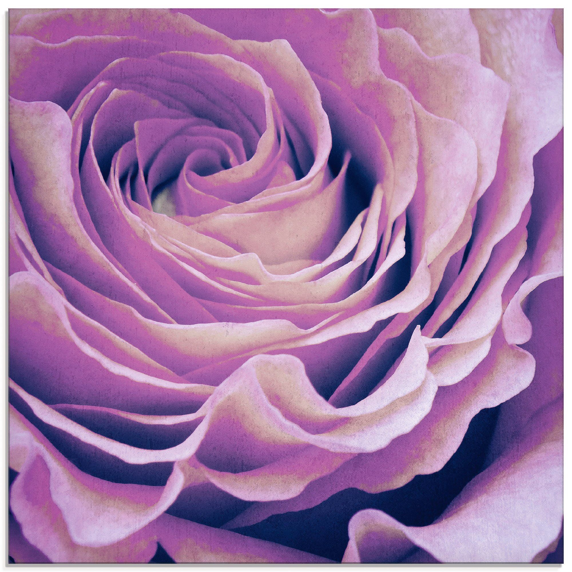 Artland Glasbild (1 Rose, Größen Lila verschiedenen in Blumen St)