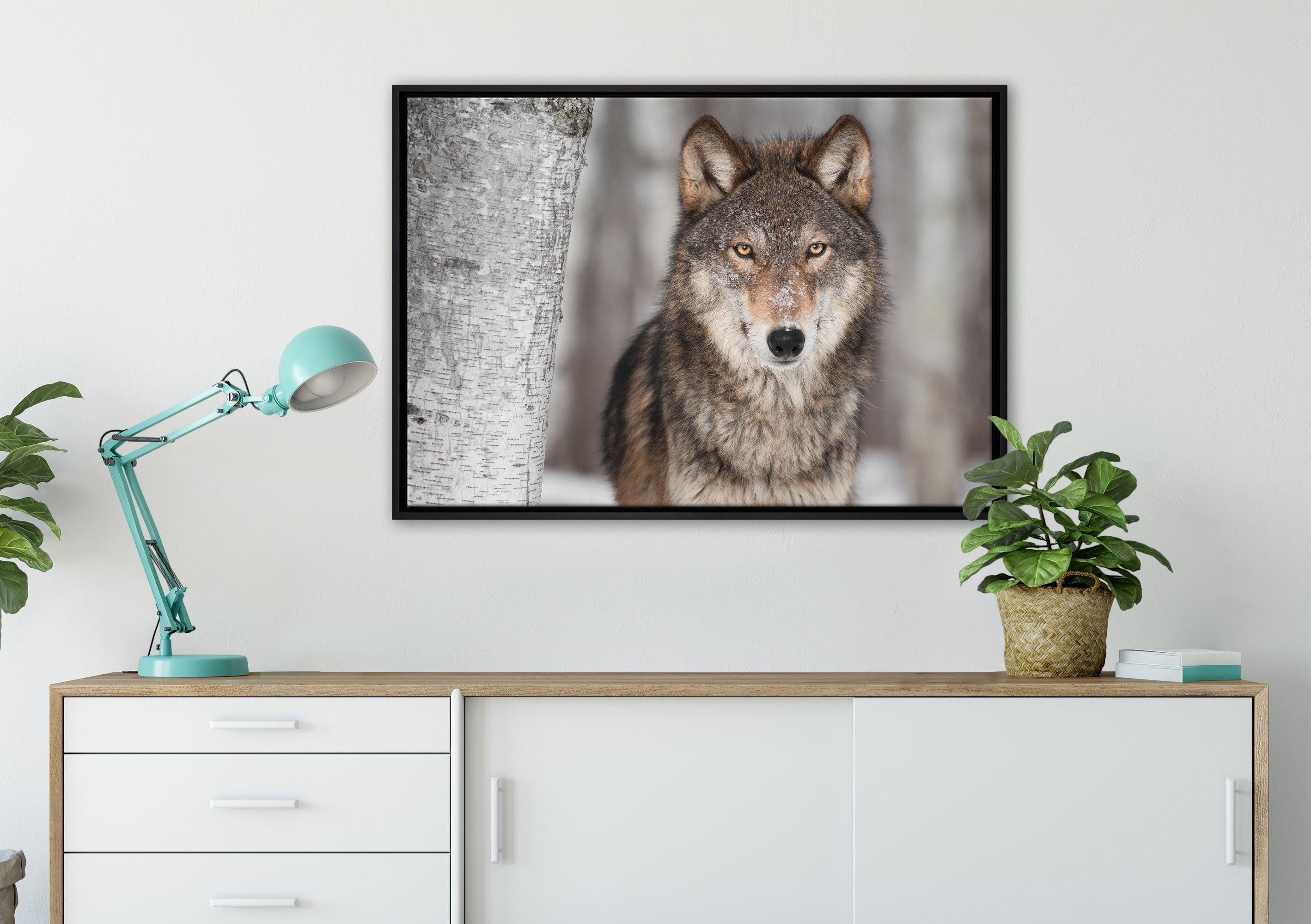 Leinwandbild fertig Schattenfugen-Bilderrahmen Wolf, Leinwandbild einem Pixxprint (1 bespannt, Wanddekoration gefasst, St), Wachsamer inkl. in Zackenaufhänger