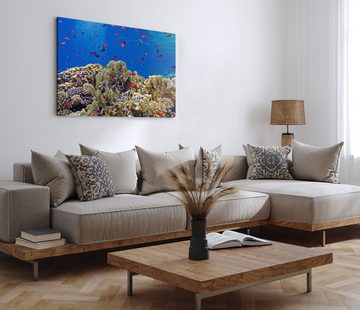 Sinus Art Leinwandbild 120x80cm Wandbild auf Leinwand Korallenriff Korallen Unterwasserfotogr, (1 St)