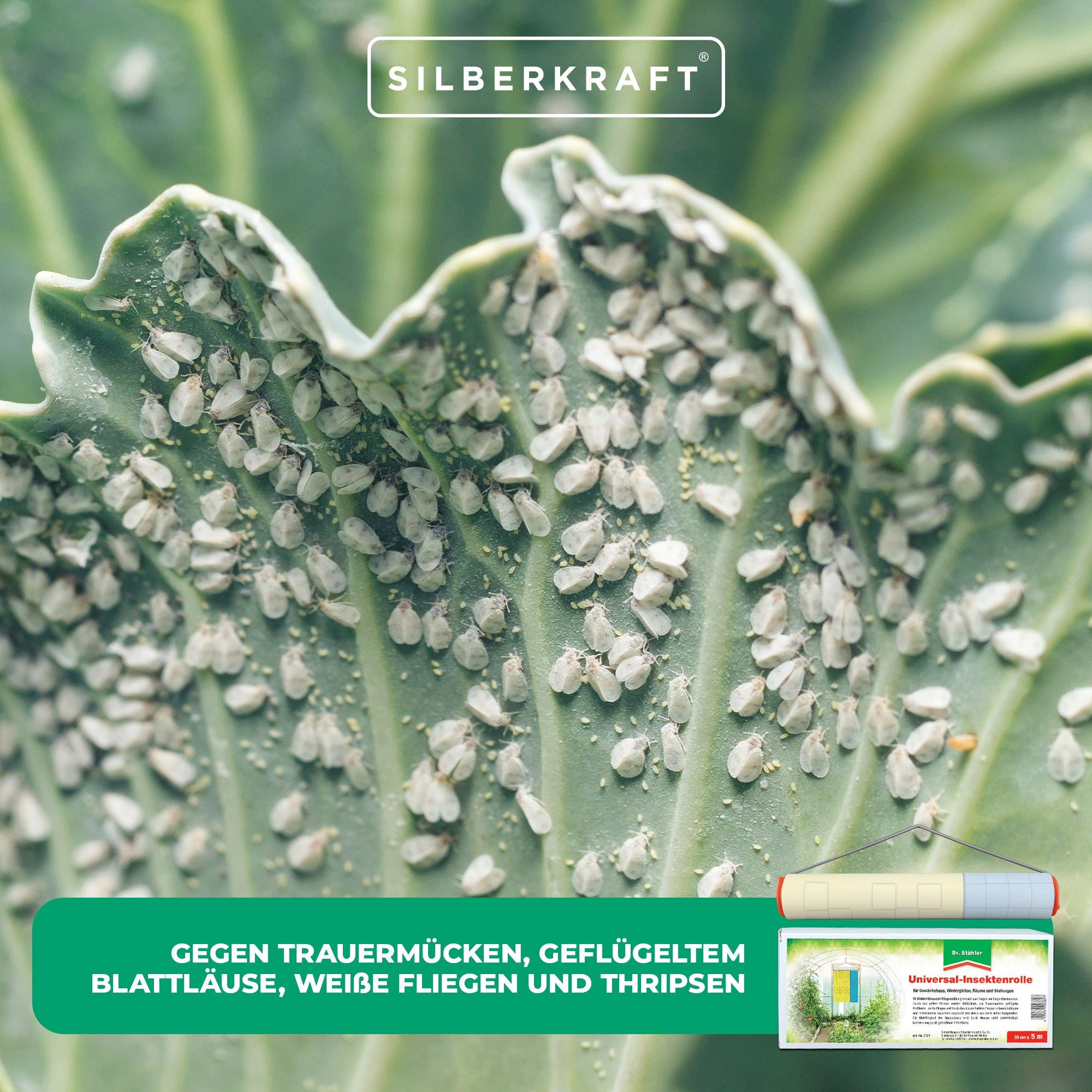 Insektenschutzrollo Universal Insektenrolle: Zum Fangen von Trauermücken und mehr, Silberkraft