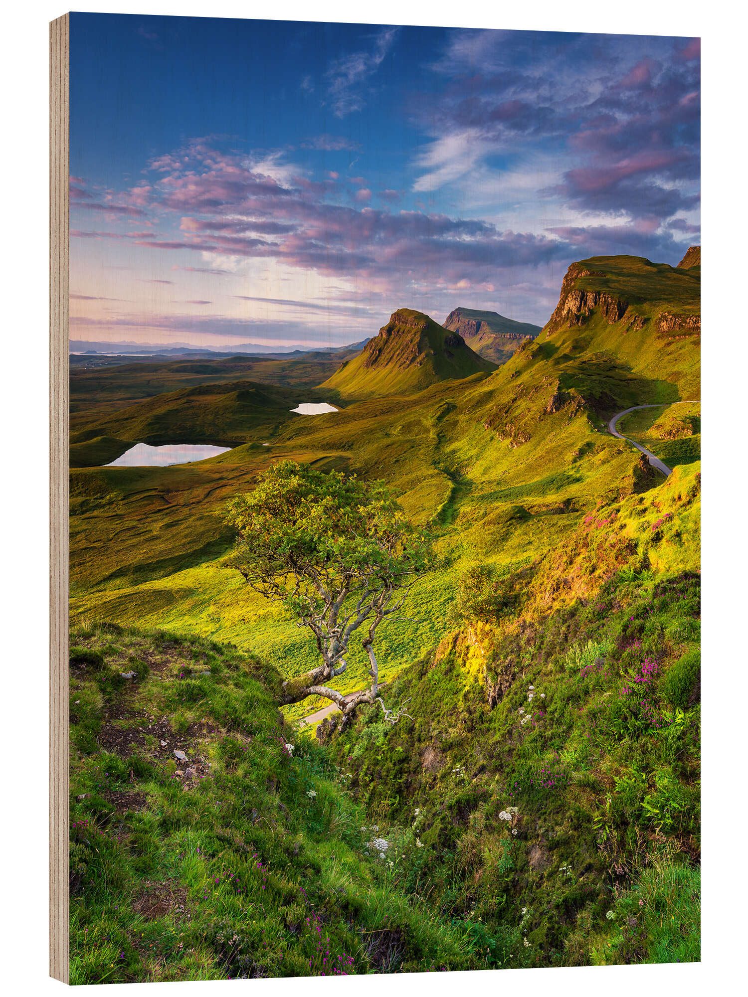 Posterlounge Wandbild Isle of Skye, Schottland, Arnold Schaffer, erhältlich als Poster, Leinwandbild, Wandsticker oder Acrylglasbild