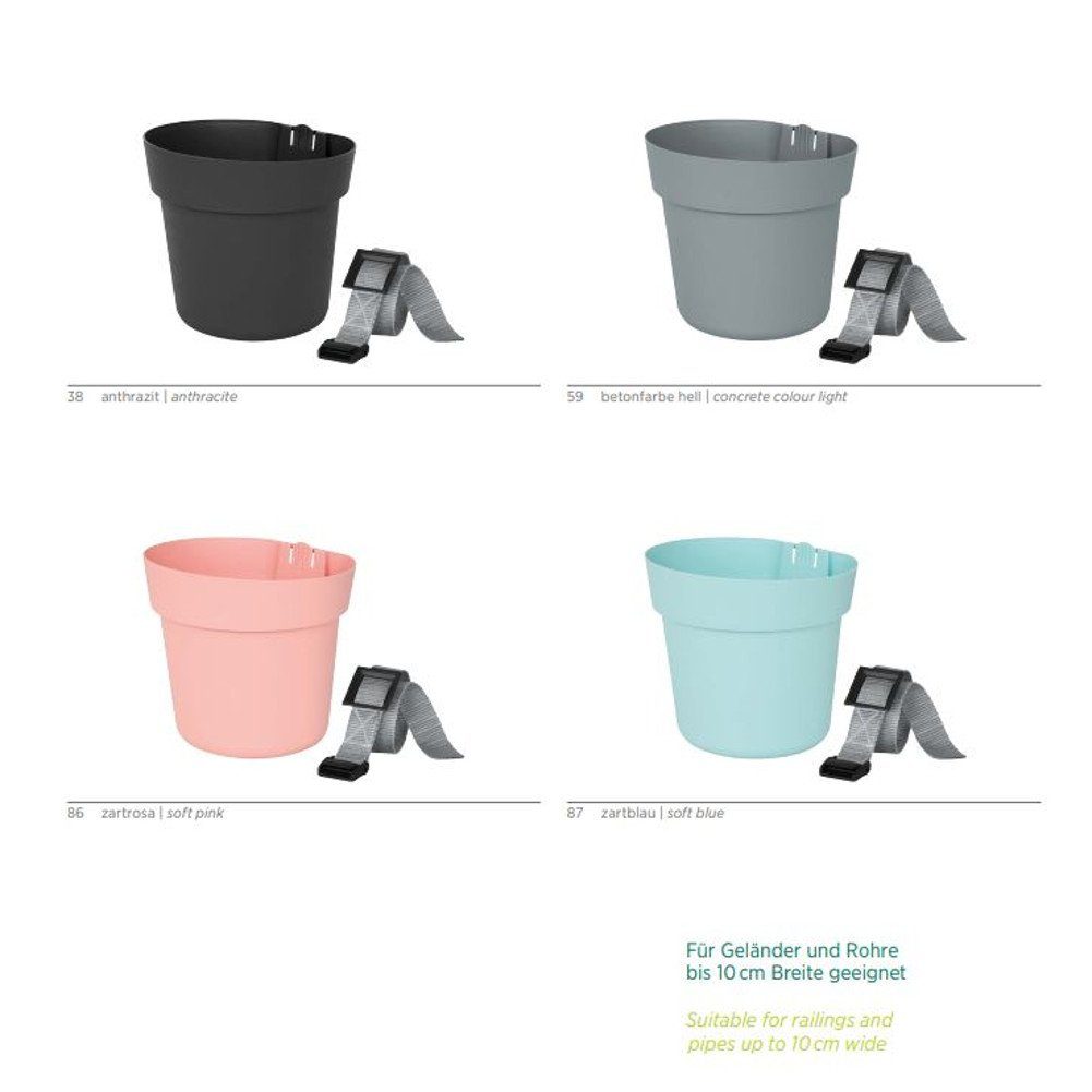 meberg Balkonkasten, Geländertopf / Wandblumentopf in vers. Farben 16 cm Kunststoff. € 13,90