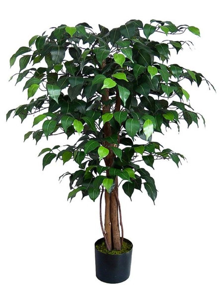 Kunstbaum Ficus Benjamini grün DA Dekobaum Kunstpflanzen künstlicher Baum Fikus, Seidenblumen Roß, Höhe 90 cm