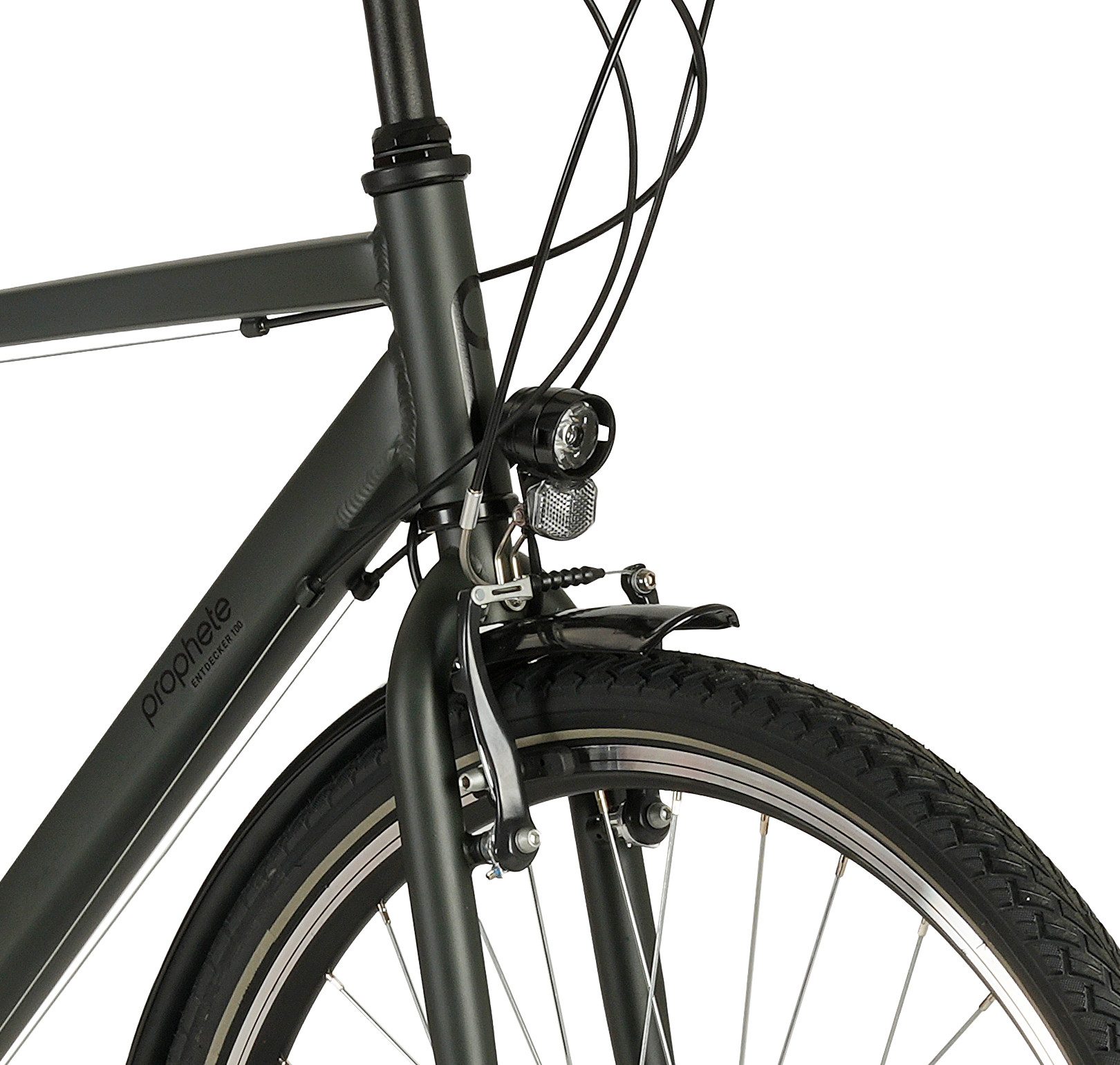 Prophete Trekkingrad Prophete Entdecker 100, 18 Gang Shimano, Kettenschaltung