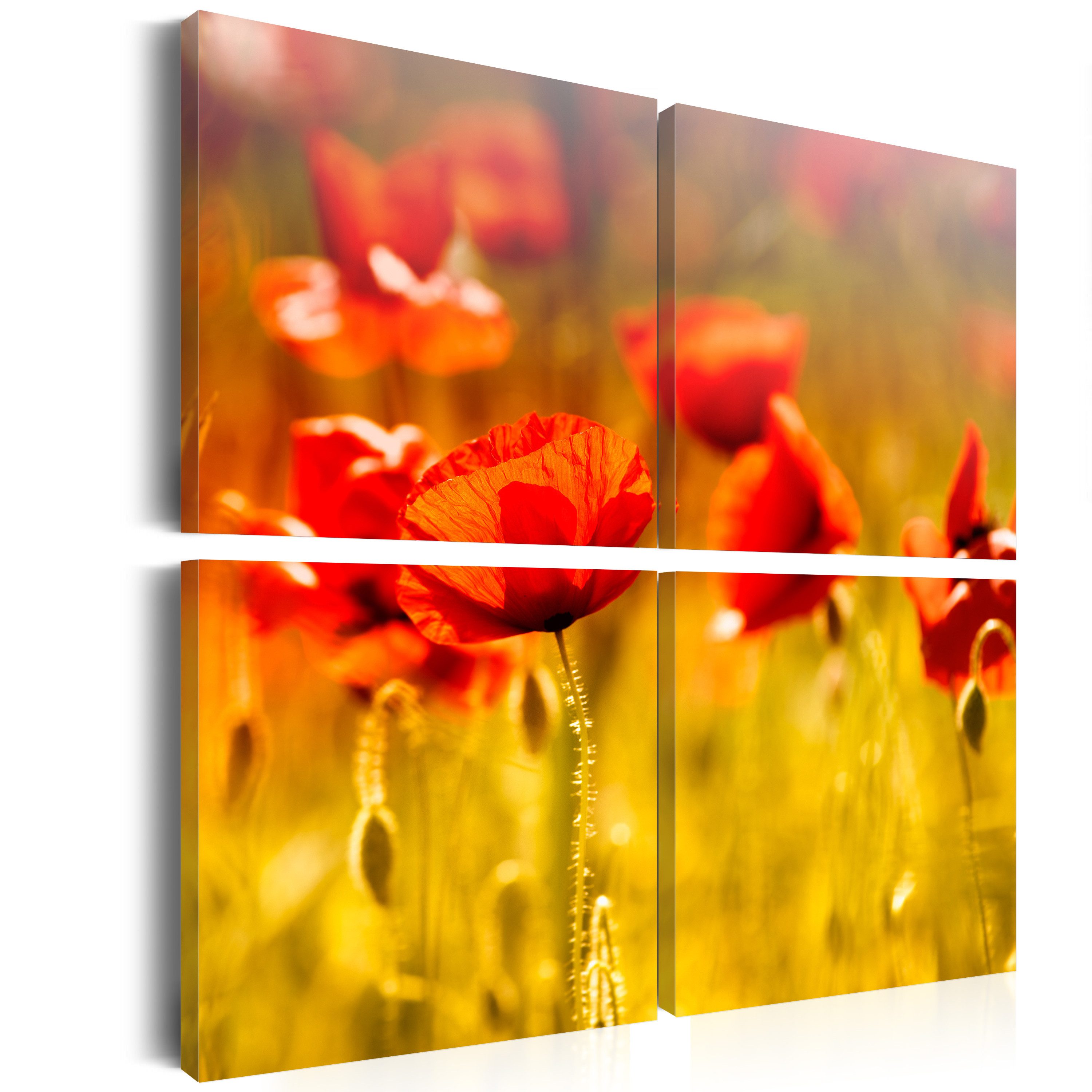Basera® Wandbild Leinwandbild 030210-90