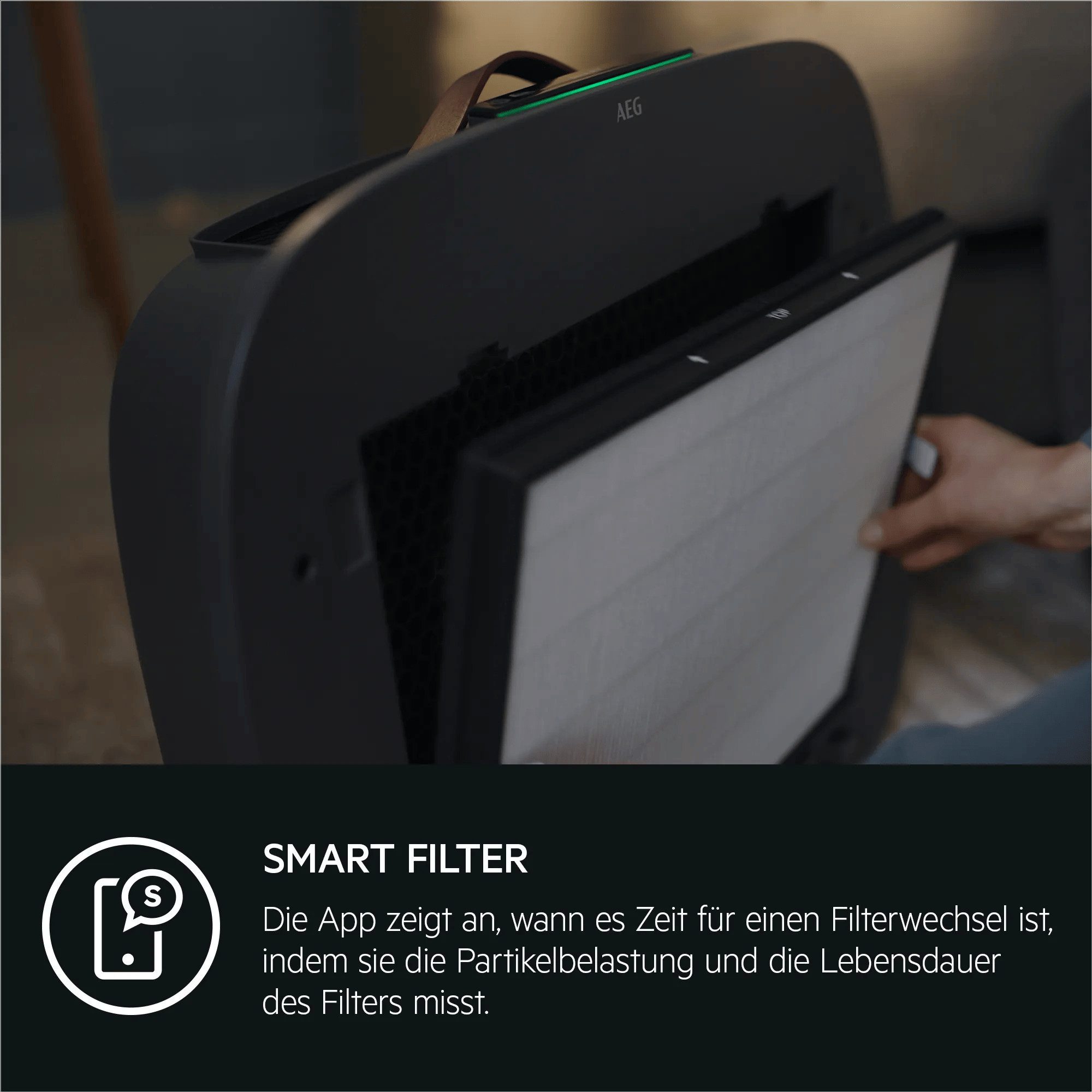 AEG Luftfilter Zubehör AFWBTH3 Pollenschutzfilter für AX5/7, Staubsauger-Akkus