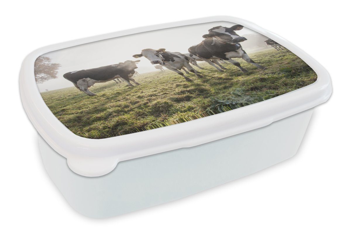 MuchoWow Lunchbox Kuh - Gras - Nebel, Kunststoff, (2-tlg), Brotbox für Kinder und Erwachsene, Brotdose, für Jungs und Mädchen weiß