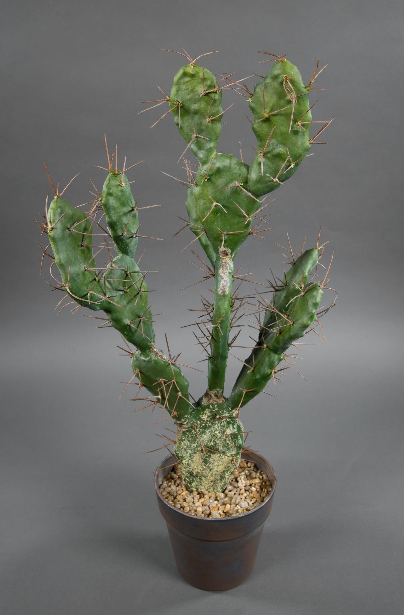 Kunstkaktus Ohrenkaktus Natura 60x30cm im Topf DP Kunstpflanzen künstlicher günstig online kaufen