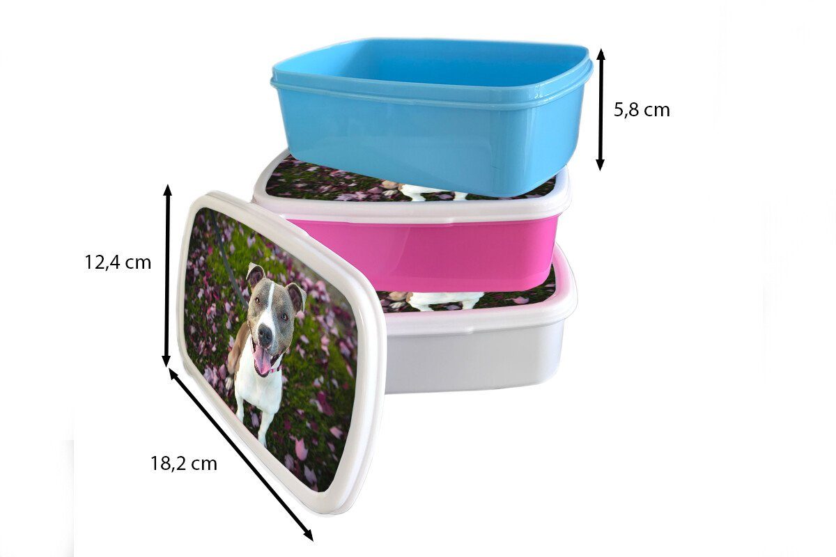 Brotbox Gras Kinder - für weiß Brotdose, MuchoWow Lunchbox und - (2-tlg), und Kunststoff, für Erwachsene, Blumen, Jungs Mädchen Hund