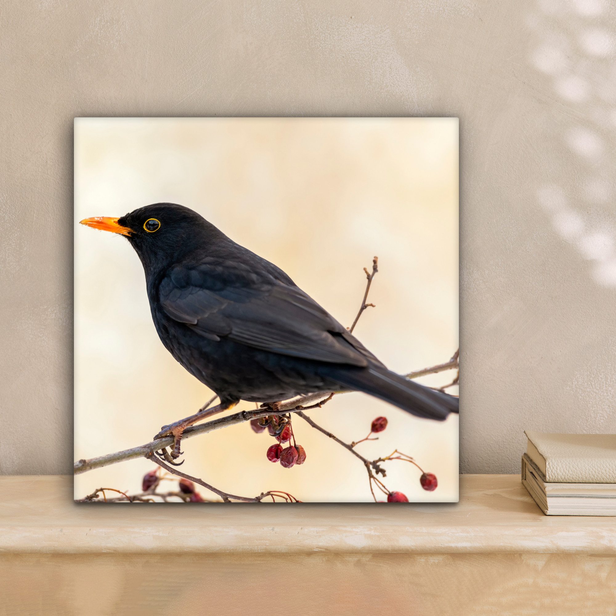 OneMillionCanvasses® Leinwandbild Amsel - Vogel - günstig online kaufen