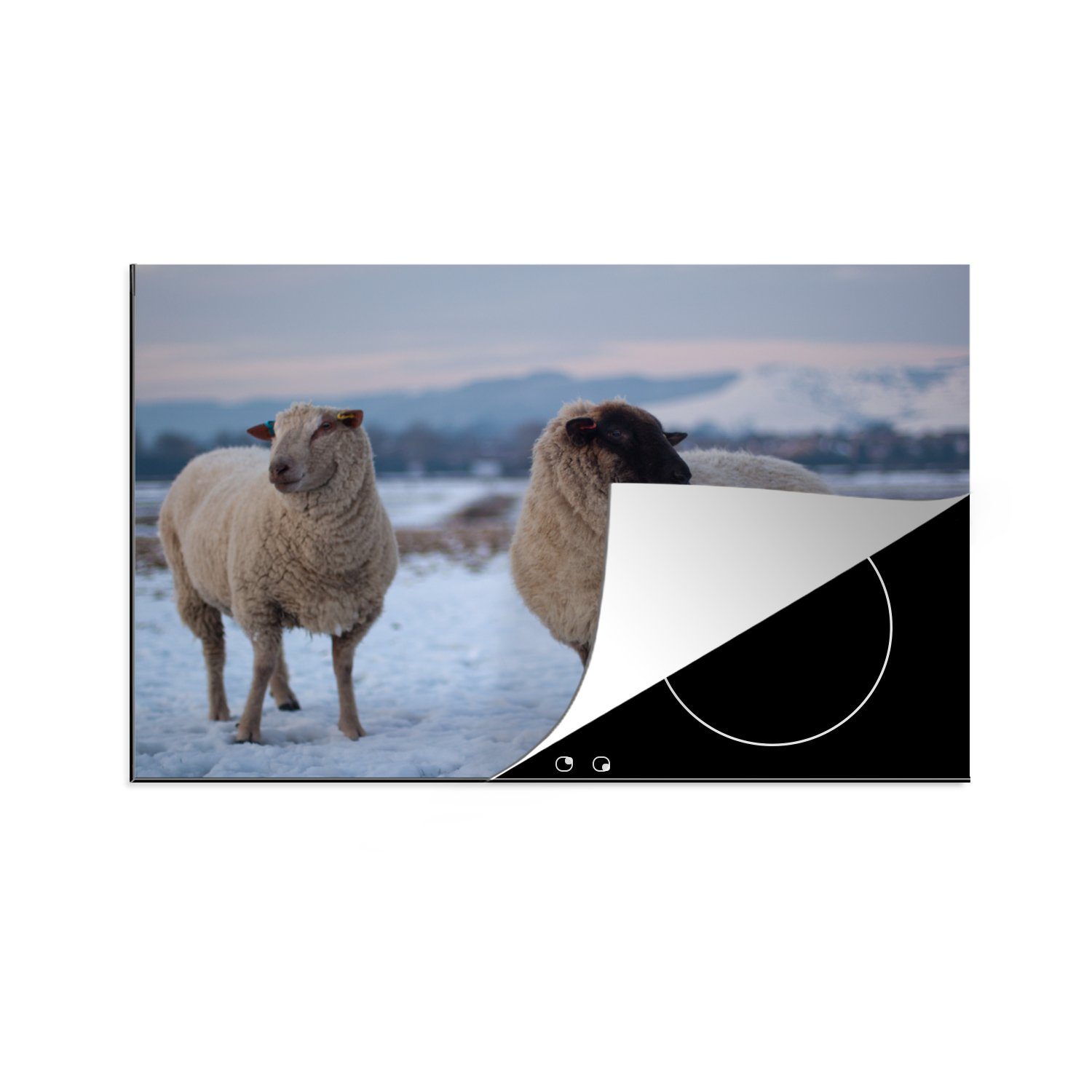 MuchoWow Herdblende-/Abdeckplatte Schaf - Schnee cm, die für tlg), Induktionskochfeld (1 Vinyl, Schutz küche, 81x52 Ceranfeldabdeckung Berg, 