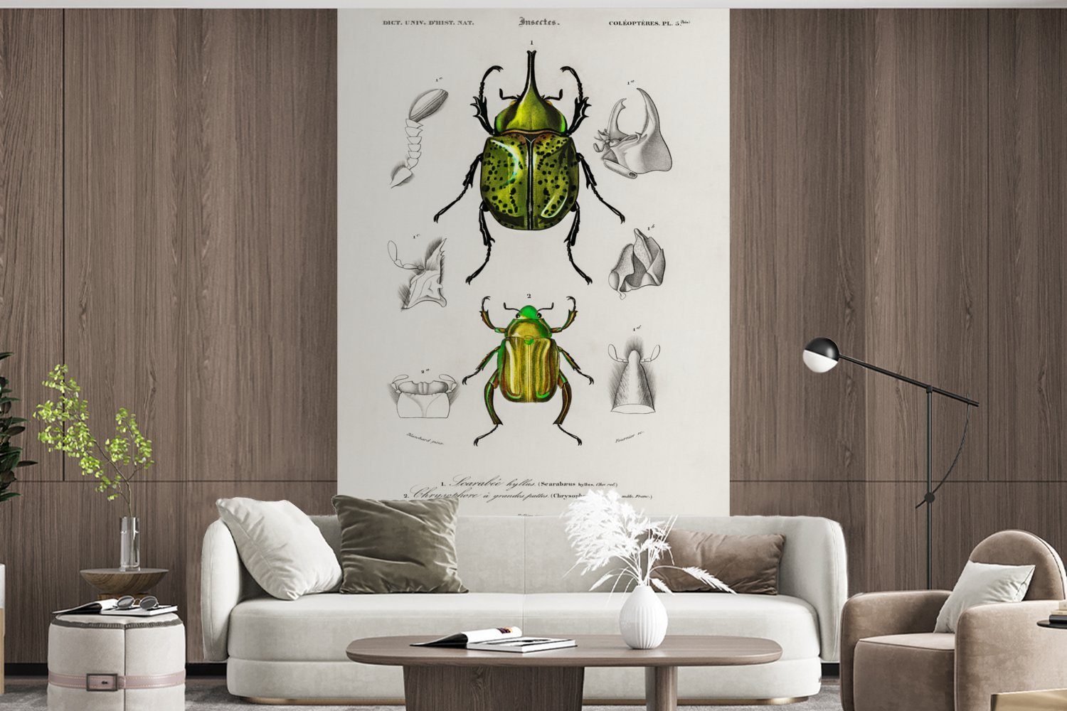 Wohnzimmer, Vinyl St), Käfer (3 Matt, Insekten, - Wallpaper MuchoWow - bedruckt, Fototapete Jahrgang Schlafzimmer, Kinderzimmer, Tapete für
