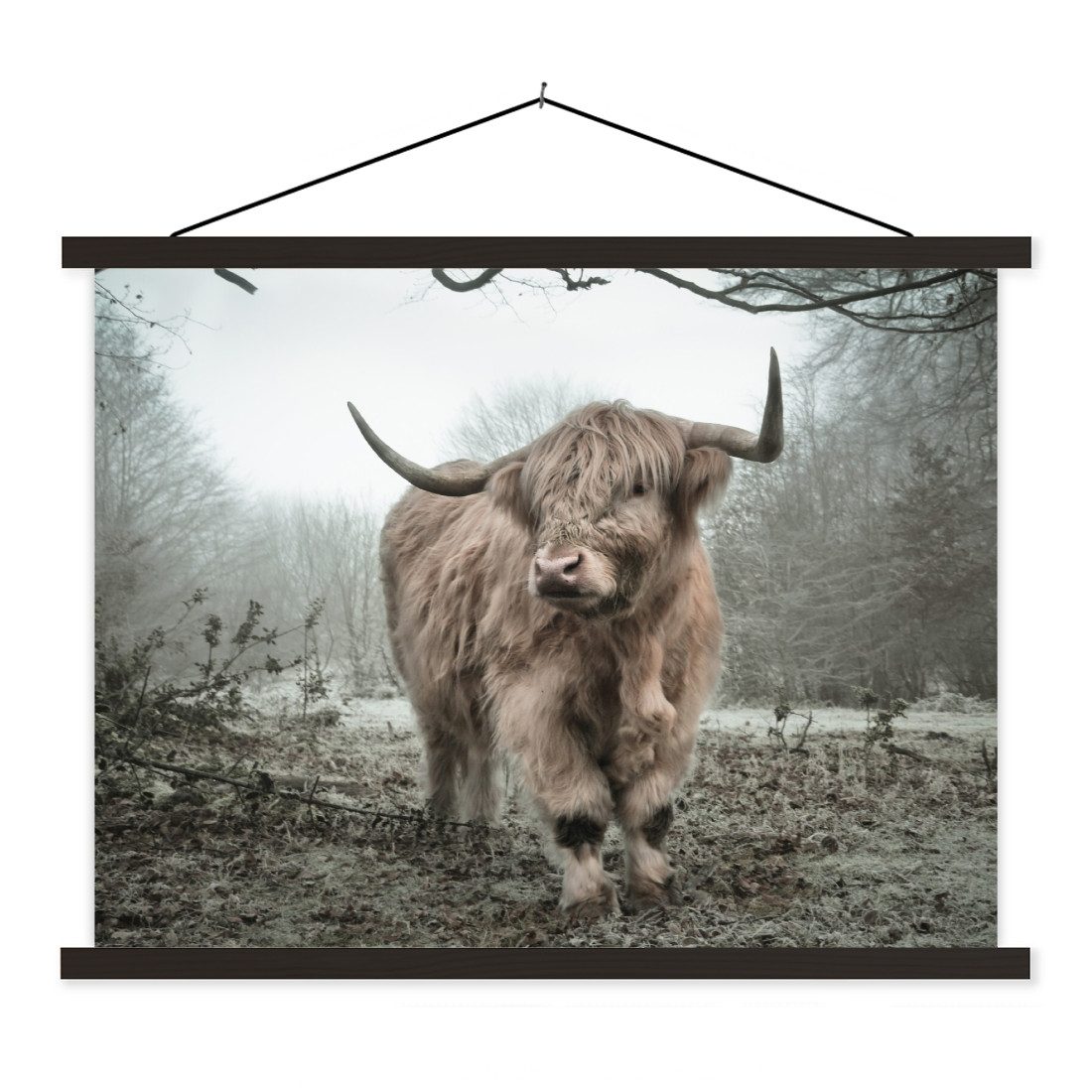 Poster Schottische Highlander - Natur - Herbst - Tiere - Wildtiere - Wald