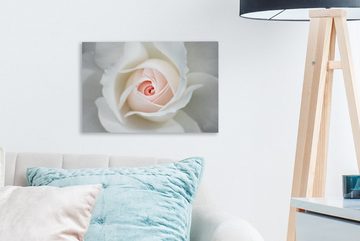 OneMillionCanvasses® Leinwandbild Rose - Blume - Blätter, (1 St), Wandbild Leinwandbilder, Aufhängefertig, Wanddeko, 30x20 cm