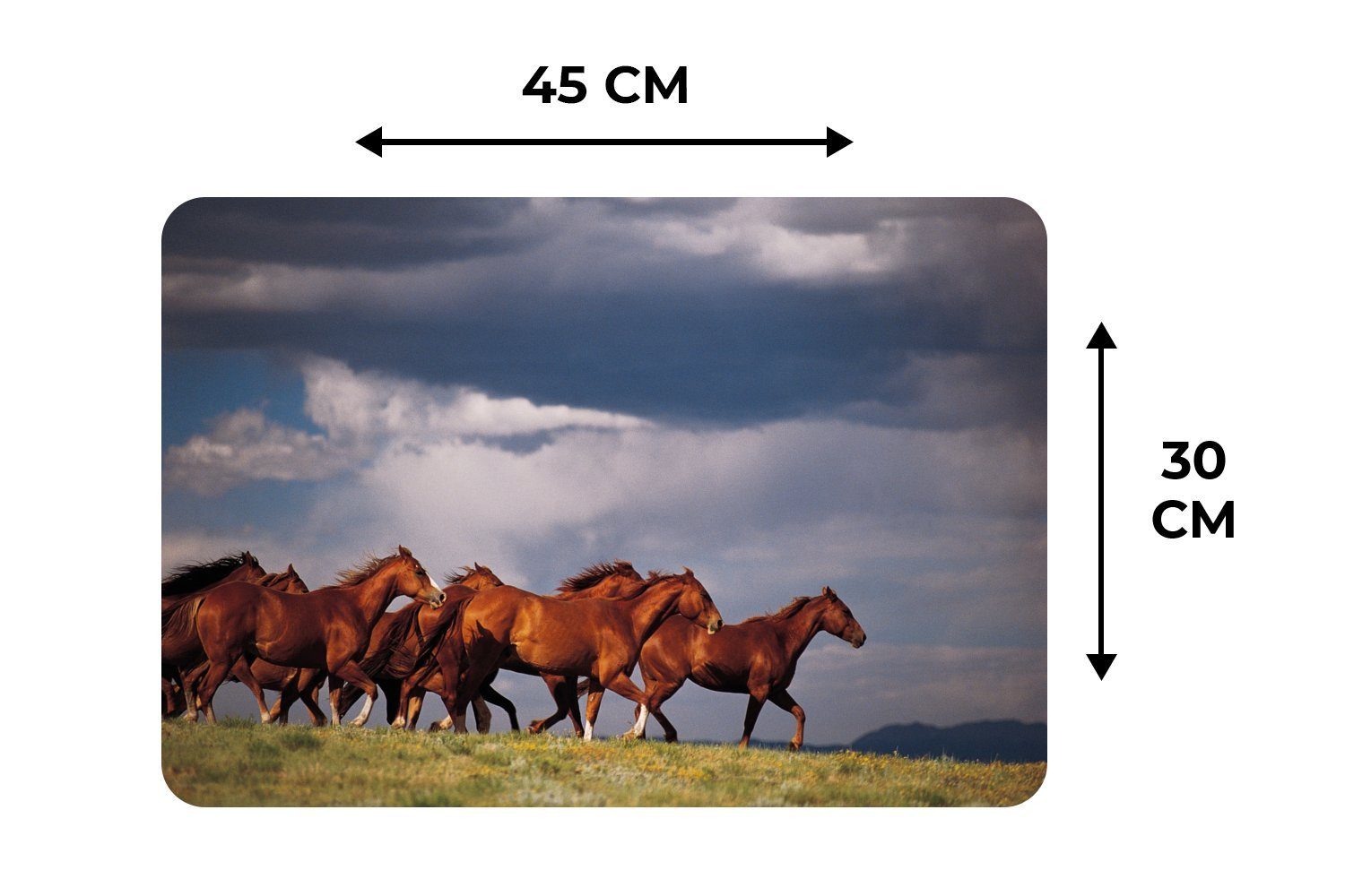 Mustang-Pferden, Tischmatten, Platzset, Platzdecken, Platzset, (6-St), Platzmatte, von Schmutzabweisend MuchoWow, Herde wilden